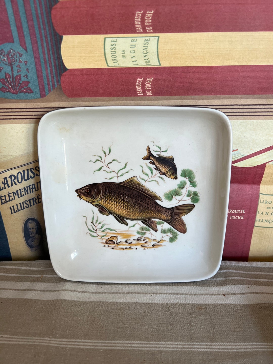 An Unusual Pike Fish Square Shaped Ceramic Plate Dish With Grey Outer ...