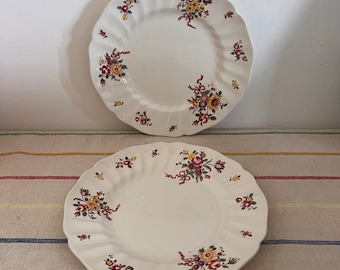 Beautiful  Art Deco 1930s Old Leeds Sprays  Royal Doulton  set of  two 8.5&quot;  dessert plates D6203