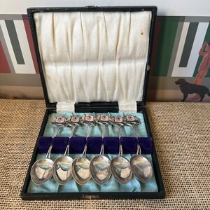 Een bijzondere boxset van 6 retro verzilverde Australische thee- of koffielepels