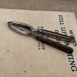Une belle paire de casse-noix antiques résistants au toucher avec des poignées extérieures en bois
