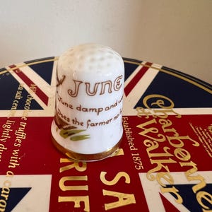 Puede incluir: Dedal de porcelana blanca con ribete dorado y una inscripción marrón que dice "Junio húmedo y cálido, El granjero no tiene daño". El dedal está sobre una superficie con estampado rojo, blanco y azul.