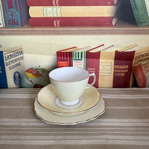Rare vintage Royal Vale Harlequin pastel yellow bone china trio of cup and saucer & side plate from the glorious 1960s