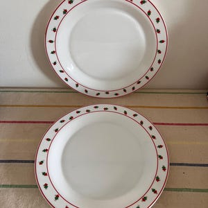 Arcopal Geometric dinner plates  from the 1970’s, set of four