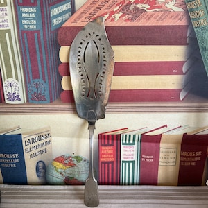 May include: A silver serving spoon with an ornate design and a decorative handle. The spoon is resting on a table with a striped tablecloth. The spoon is surrounded by books with French and English titles.