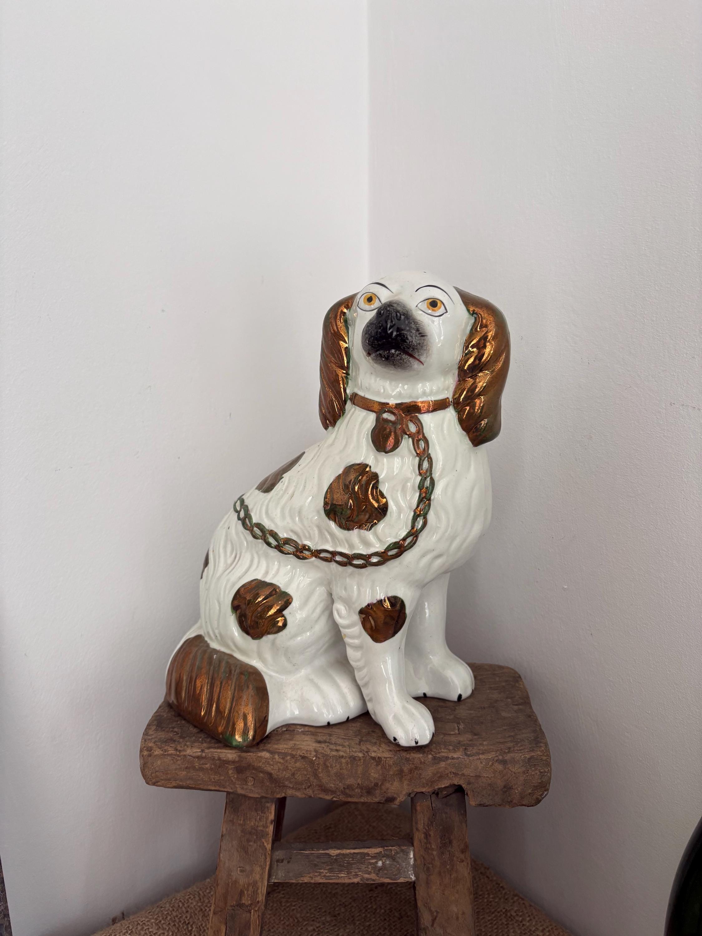 ロイヤルドルトン　フィギュア　キング チャールズ スパニエル Royal Doulton Cavalier King Charles Spaniel - Etsy