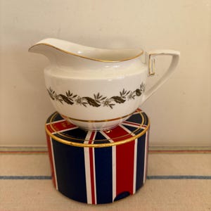 A vintage Royal Worcester Bernina jug, creamer