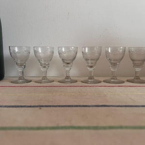 Beautiful Set of 6 small petite French antique crystal etched liqueur glasses with a leaf and berry design