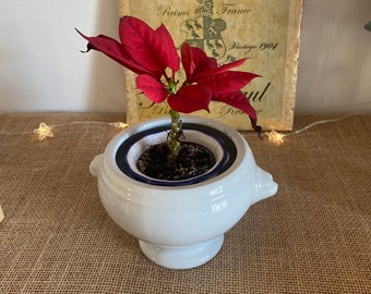 Set Di 2 Ciotole Per Zuppa In Porcellana Con Testa Di Leone - 15oz, Forno E Microonde - Foto 9