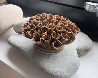 A lovely wall hanging ceramic coral succulent ornament to decorate a wall or use as a table centrepiece