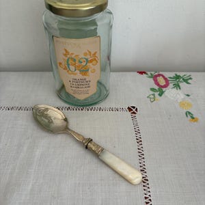 A  delightful vintage Victorian era EPNS jam spoon with a Mother of Pearl handle
