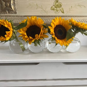 A dramatic, effective quintessential centrepiece  bubble caterpillar vase that can be used with any flower imaginable.