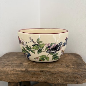 Może przedstawiać: Kremowa miska ceramiczna z detalicznym wzorem botanicznym przedstawiającym zielone liście, różowe kwiaty, ciemne jeżyny, ważkę oraz czarno-pomarańczowe motyle, wykończona cienką ciemnoczerwoną obwódką wzdłuż górnej krawędzi.