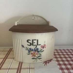 Eine seltene wunderschöne französische antike Wandbehang Porzellan Blumendekor SEL Salzdose mit aufklappbarem Holzdeckel