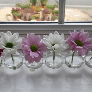 Op de afbeelding: Zes kleine, heldere glazen vaasjes, elk met een enkele bloem. De bloemen wisselen af tussen wit, lichtroze en diep bordeauxrood, met groene centra. De vaasjes staan op een witte vensterbank.