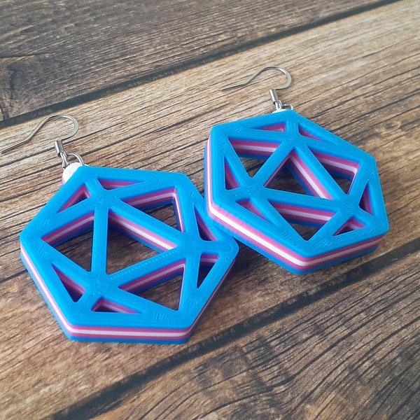 Trans Pride D20 Earrings, Subtle Pride, Statement Jewelry, LGBTQ+, Dice Earrings