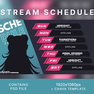 Vaporwave Twitch Stream Schedule Template: Blue & Pink (Canva/PSD)