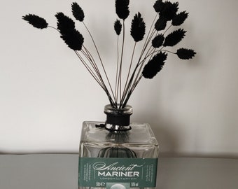 16 Dried Black Phalaris - Canary Grass. 25cm - 30cm. Perfect for a small vase