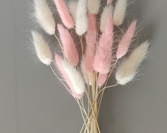 Dried mixed blush pink and white bunny tails. 24cm - 30cm. Perfect for a small vase. 20 or 30 stems.