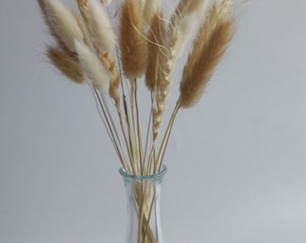 20 Stems, dried mixed natural and white bunny tails with wheat. 24cm - 30cm. Perfect for a small vase