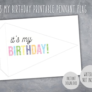 Its My Birthday Pennant Flag, Birthday Pennant Flag Birthday Flag Printable Pennant Birthday Decor Party Downloadable Birthday Flag