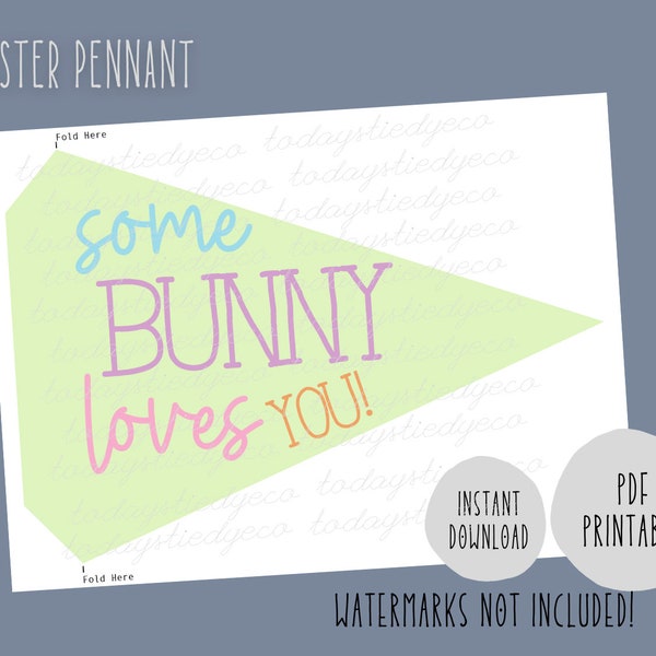 Some Bunny Loves You Easter Pennant, Easter Printable Flag, Easter Basket Filler, Easter Basket Flag, Easter Bunting, Easter Wand