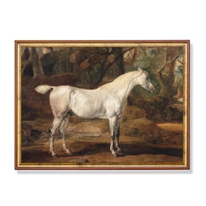 Impression d&#39;art étalon blanc : portrait équin vintage, décor boisé rustique