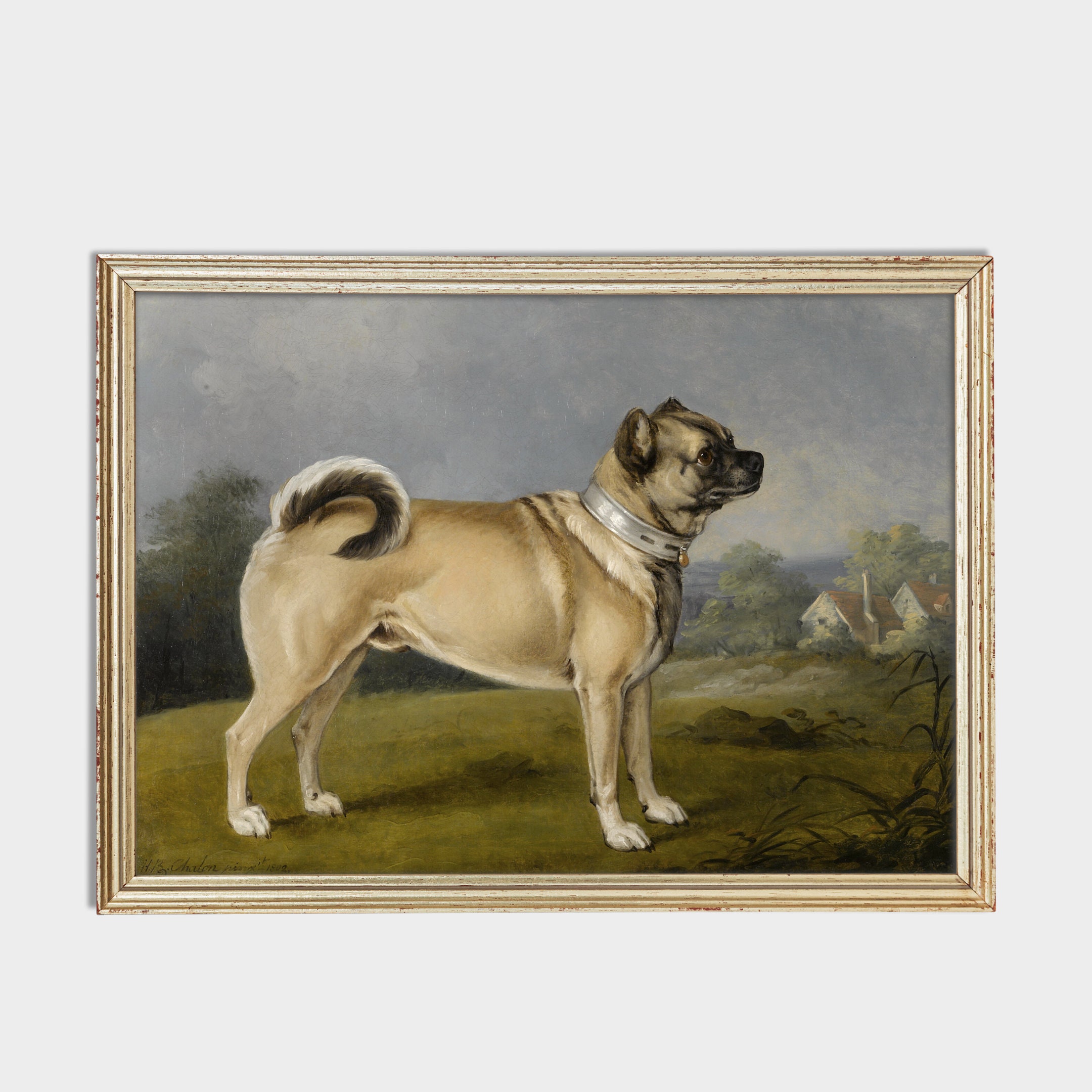 A.Monamour Tapisserie Murales Drôle De Chien Carlin Portant Un Costume De Musicien avec Guitare Ukulélé Tissu Tenture Murale Art Décor Nappe de Table Drap de Plage Couvre-lit Rideau