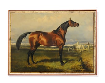 Estampado de caballo vintage: Arte ecuestre antiguo, decoración rústica