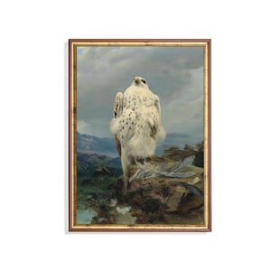 Vintage Falke Gemälde: Antike Vogel Kunstdruck (Postdruck)