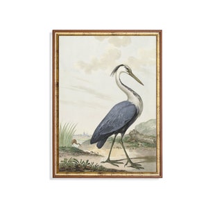 Blue Heron Print: Vintage Bird Painting, Antique Wall Art