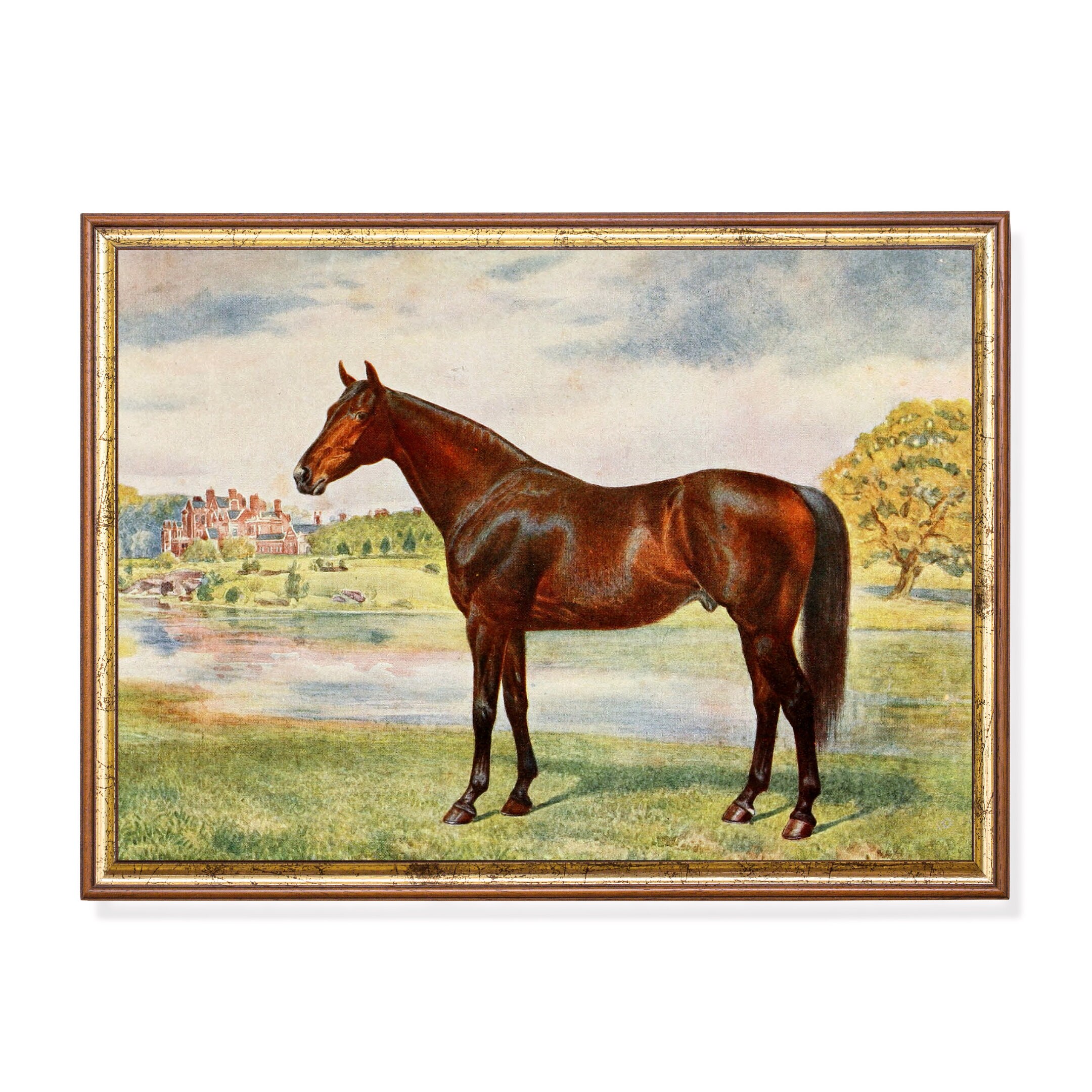 Vintage Horse Art Print: English Equestrian Painting (digital Download ...