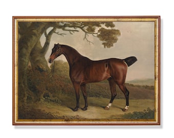 Vintage Horse Painting: Antique Equestrian Art Print