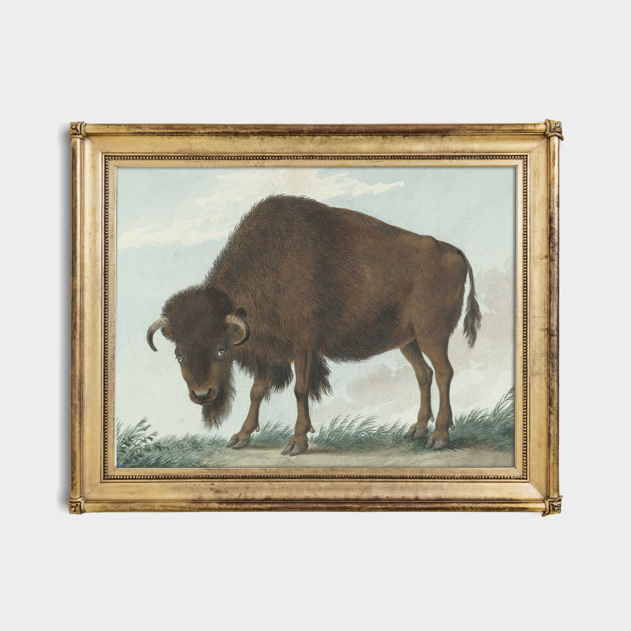 Vintage Bison Print: Rustic Farmhouse Animal Artwork (mailed Print) - Etsy