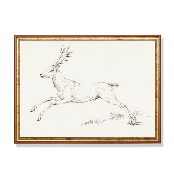 Jumping Deer Drawing | Vintage Wall Art | Antique Sketch Print | 18th Century Drawing | Digital Download | Printable Horizontal Fine Art