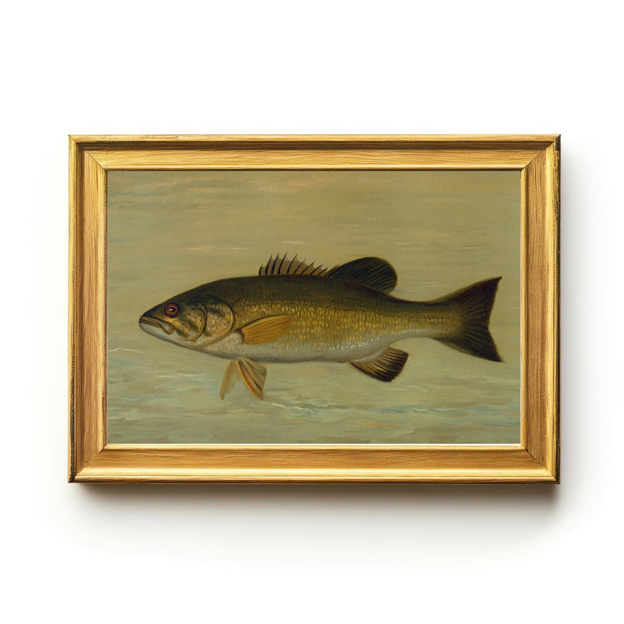 ヴィンテージブラックバスプリント：素朴な釣り人の壁アート、自然史