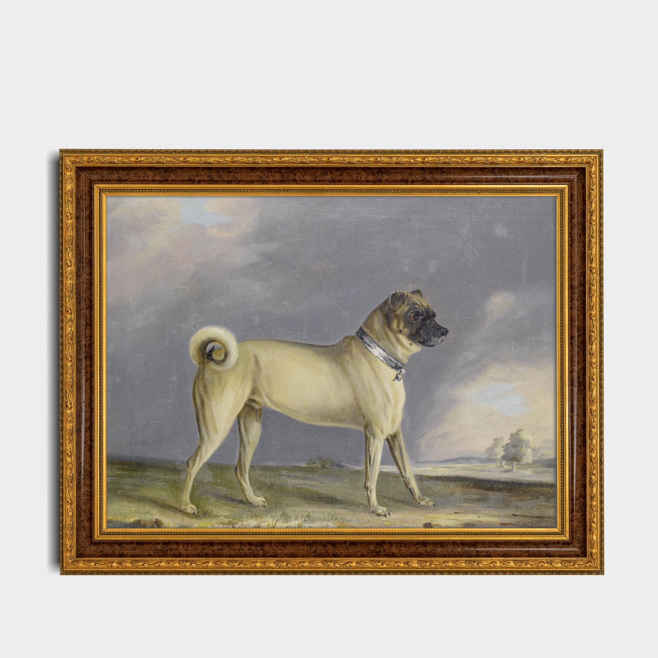 ヴィンテージパグの肖像画プリント：19世紀のアンティーク犬アート