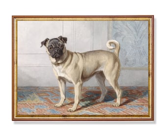 Cuadro vintage de perro carlino: lámina de arte animal antigua