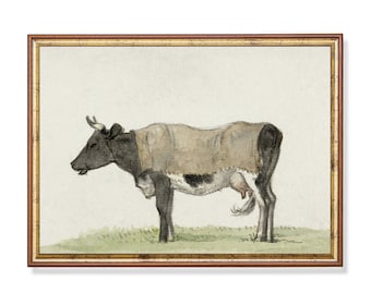 Vintage Cow Print: Antique Farmhouse Animal Art