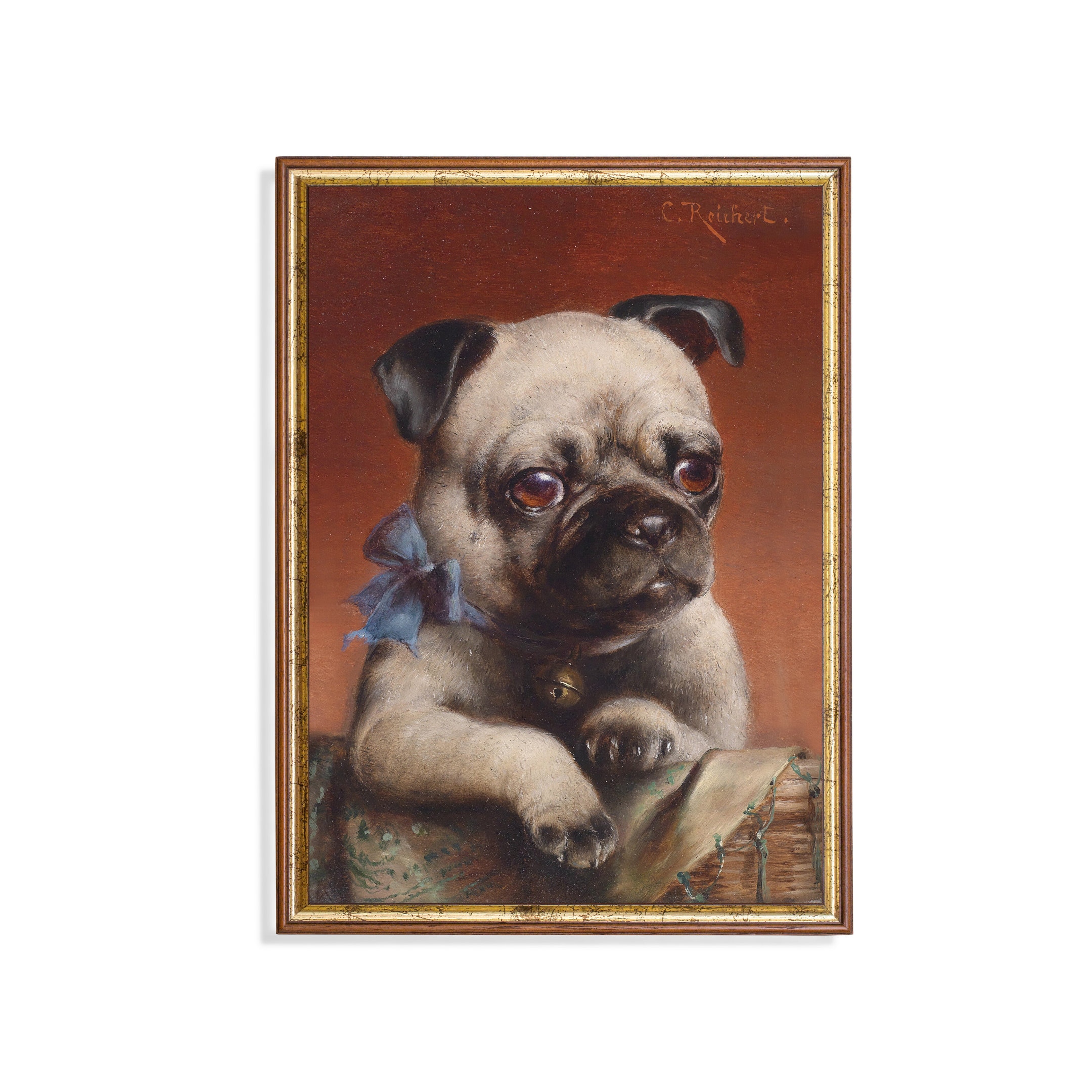 KoNsev Copricuscino quadrato decorativo con molti cani, 45,7 x 45,7 cm, per divano, letto e auto