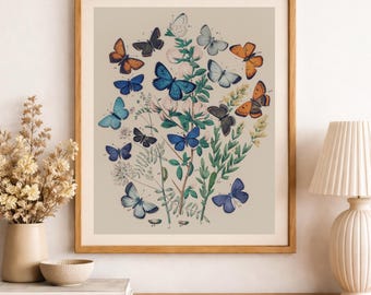 Vintage Butterfly Botanical Print: Ilustracja antycznego owada