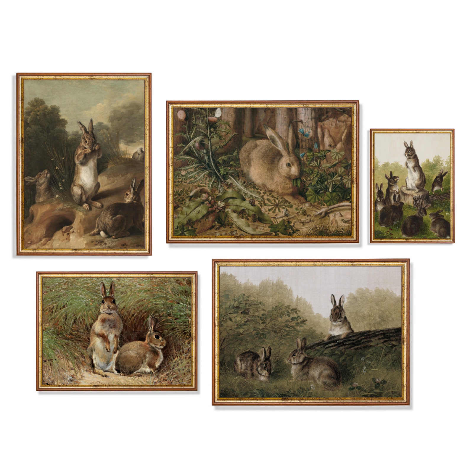 Vintage Gallery Wall Set of 5 Prints Antique Rabbit - Etsy