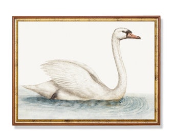 Printed and Shipped | Vintage Swan Painting | Antique Bird Print | White Swan | Neutral Farmhouse Decor | Fine Art | Physical Prints