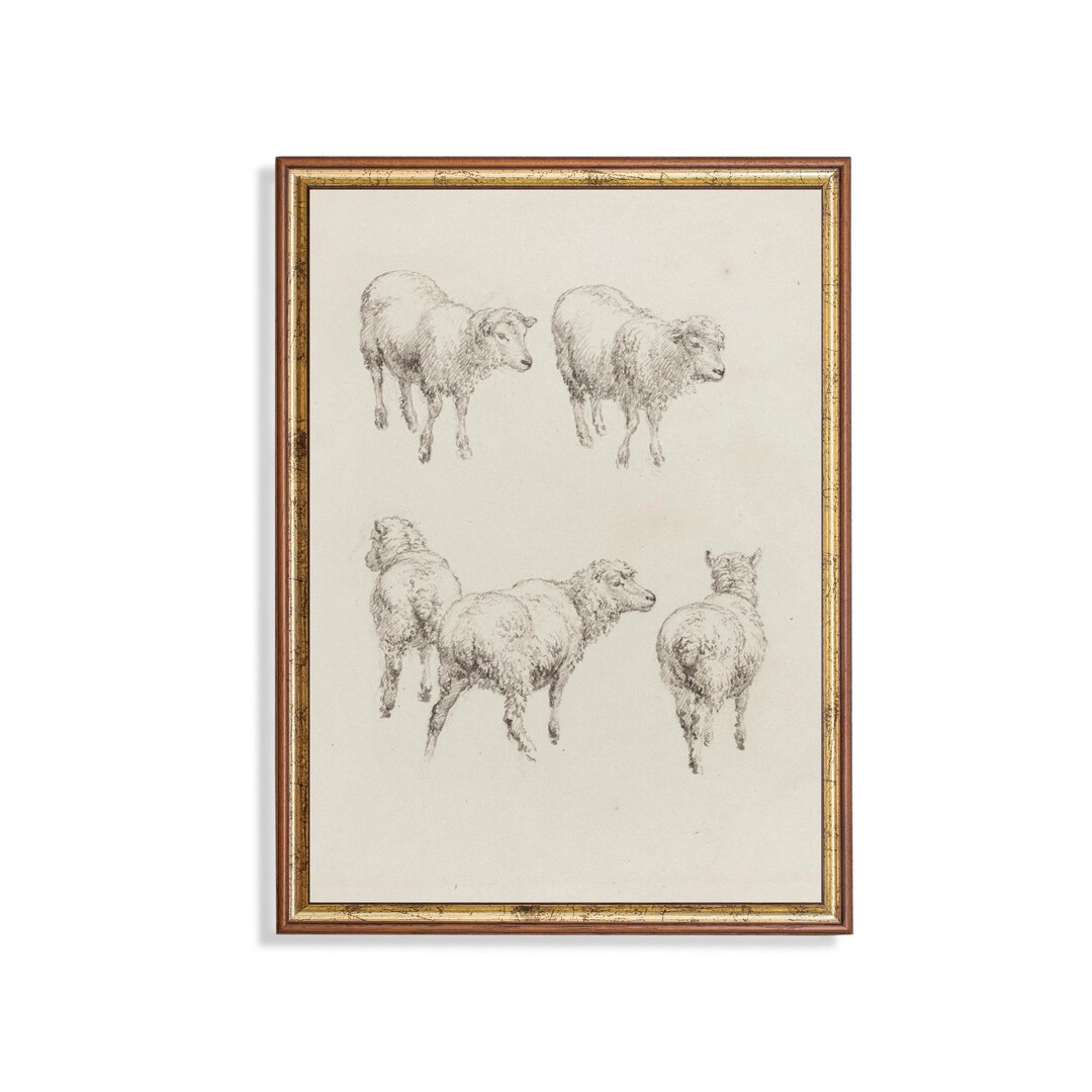 Mailed Print | Vintage Sheep Drawing | Antique Sketch Print | Neutral ...