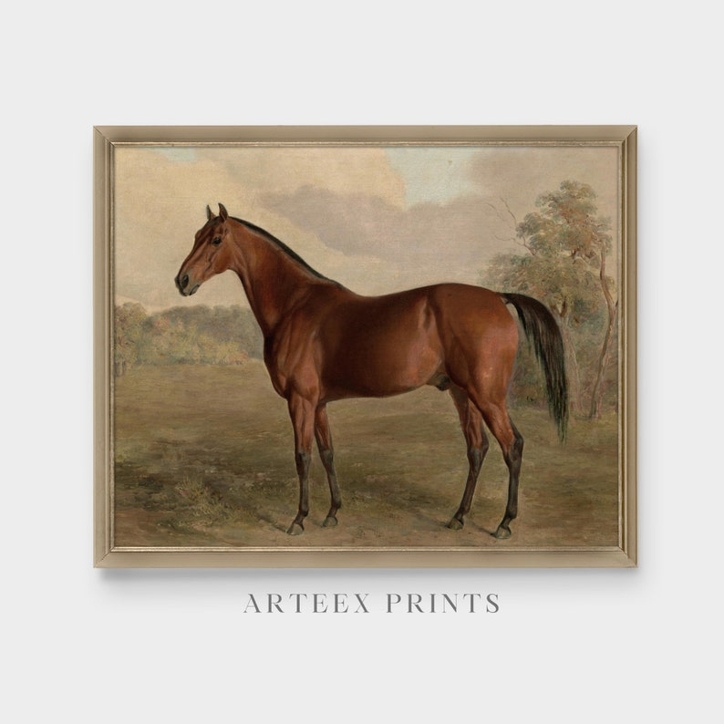 Vintage Horse Art Print: Antique Equestrian Painting, Rustic Farmhouse Decor (Digital Download) image 2