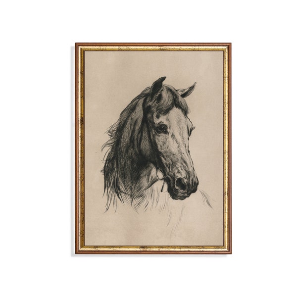 Imprimé et expédié | croquis de portrait de cheval vintage | Impression de dessin antique | Cadeau amoureux des animaux | Beaux-Arts rustiques | Impressions physiques