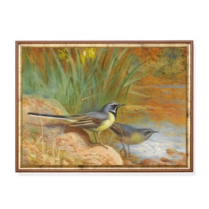 Antique Wagtails Painting: Rustic Bird Art Print