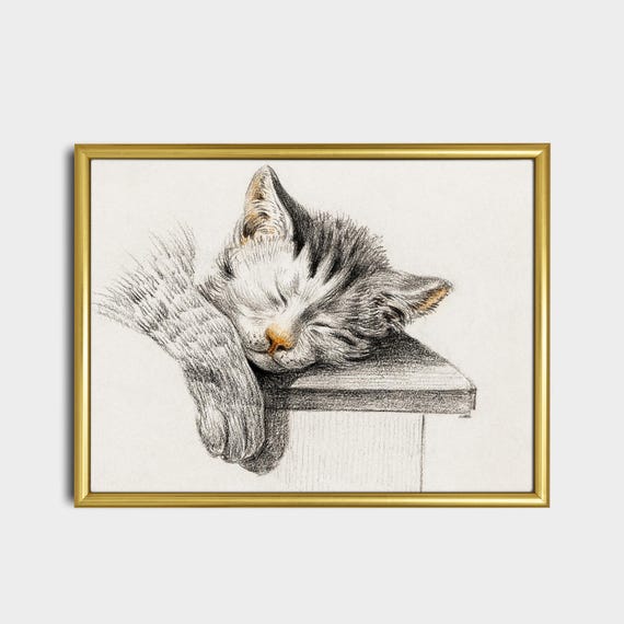 InstyleArt Stampa Su Tela 'Gattino E Cane Coccole' – Quadro 80x60 Cm, Ready To Hang, Fatto In Germania – Decorazione Murale - 3