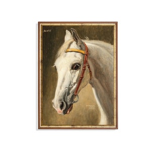 Vintage White Horse Portrait: Rustic Equine Art Print