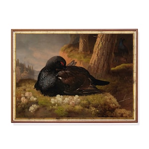 Black Grouse Painting: Vintage Bird Print, Moody Rustic Wall Art