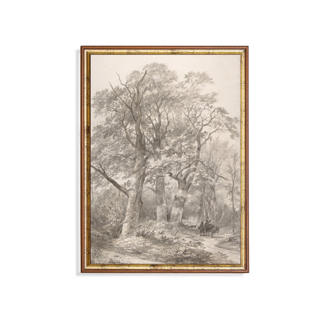 Vintage Forest Landscape Drawing: Rustic Cottagecore Wall Art - Etsy
